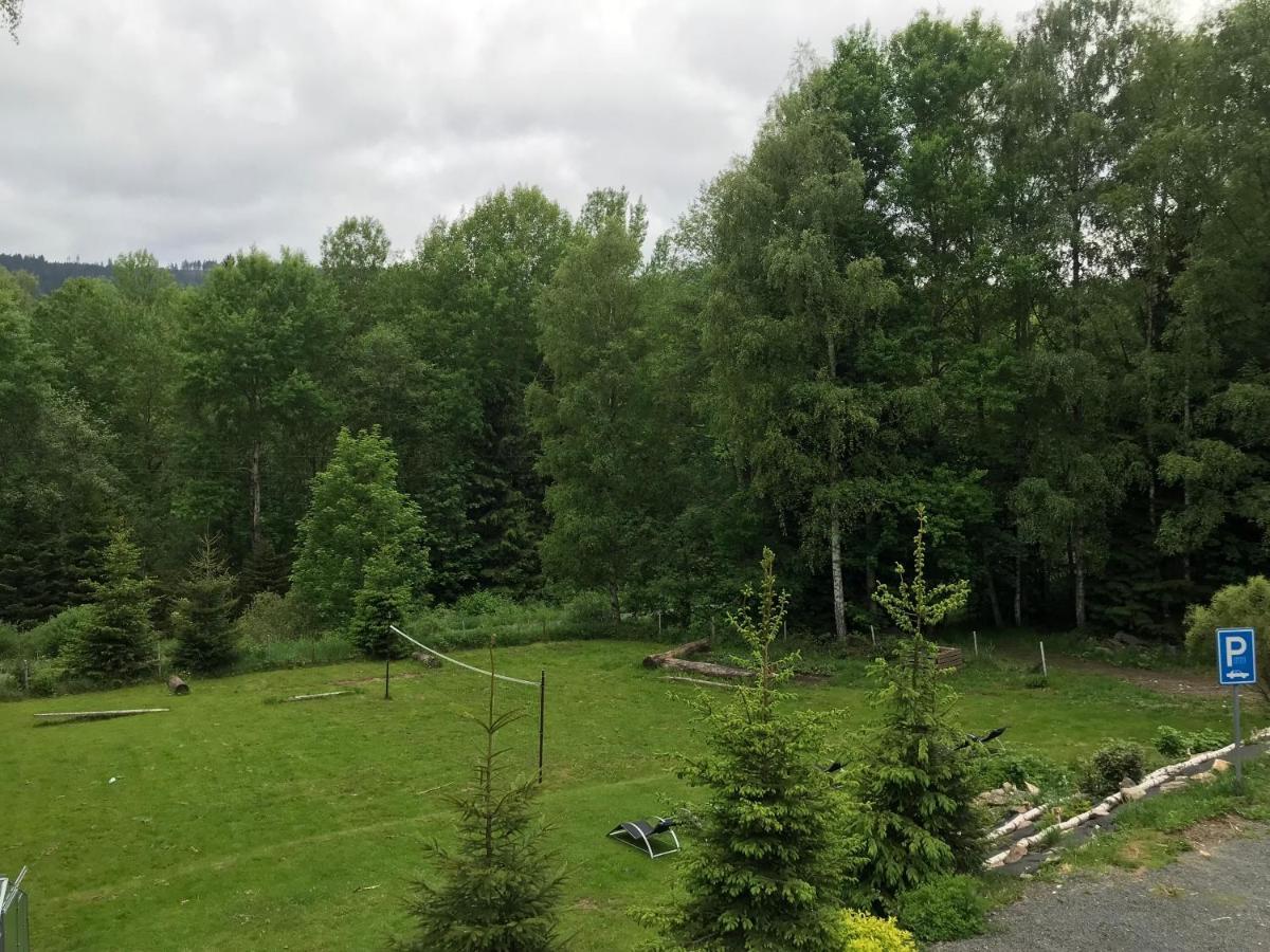 Pension Aura Spicak, Nektere Pokoje Se Saunou Železná Ruda Exterior foto