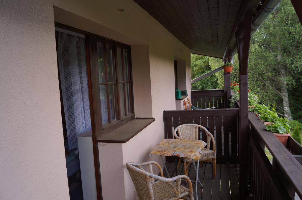 Pension Aura Spicak, Nektere Pokoje Se Saunou Železná Ruda Exterior foto