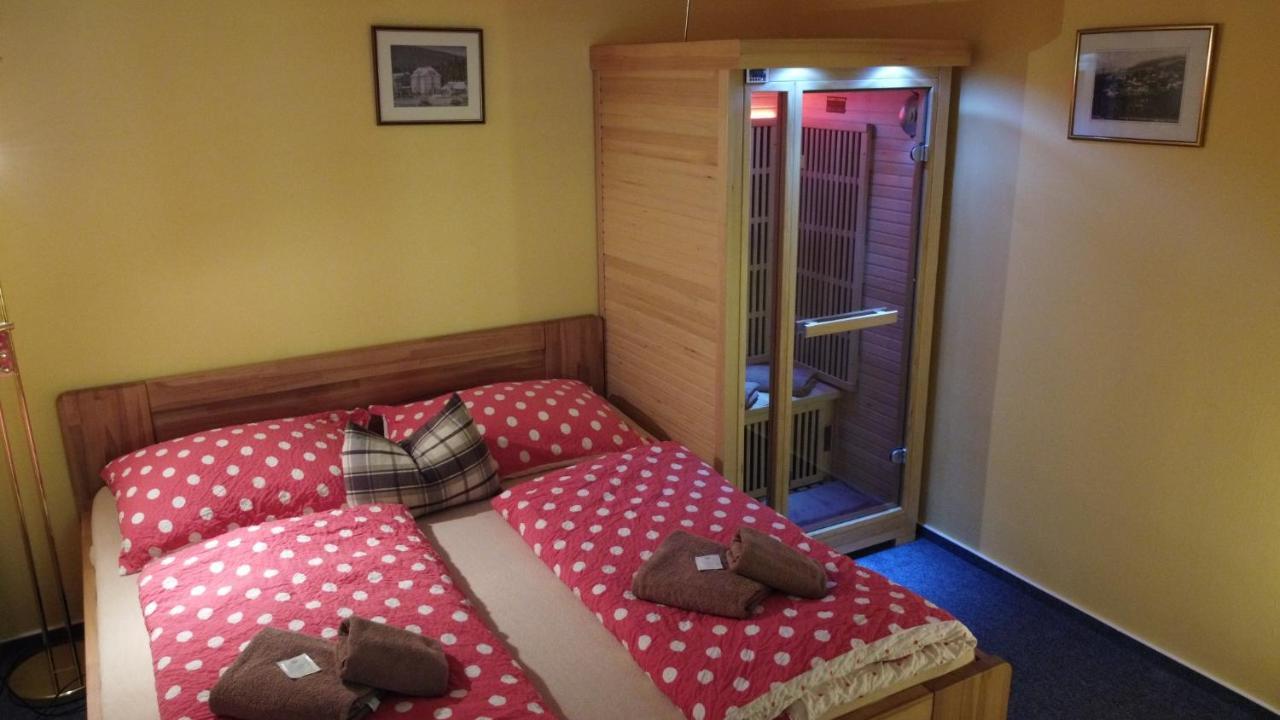 Pension Aura Spicak, Nektere Pokoje Se Saunou Železná Ruda Exterior foto